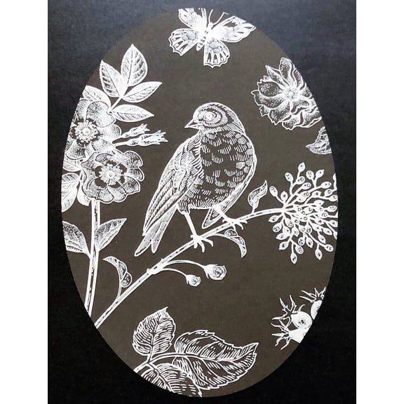Dcentral Magnetics Decorative Bird & Butterfly Wall Decal