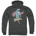thumbnail image 1 of Dco - Desaturated Superman - Pull-Over Hoodie - XX-Large, 1 of 2
