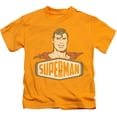 thumbnail image 1 of Dco - Superman Sign - Juvenile Short Sleeve Shirt - 5/6, 1 of 2