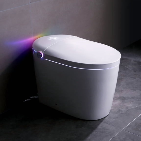 Dcskyn One Piece Tankless Smart Toilet Auto Flush Bidet Heated Seat Warm Air Dryer Remote Control