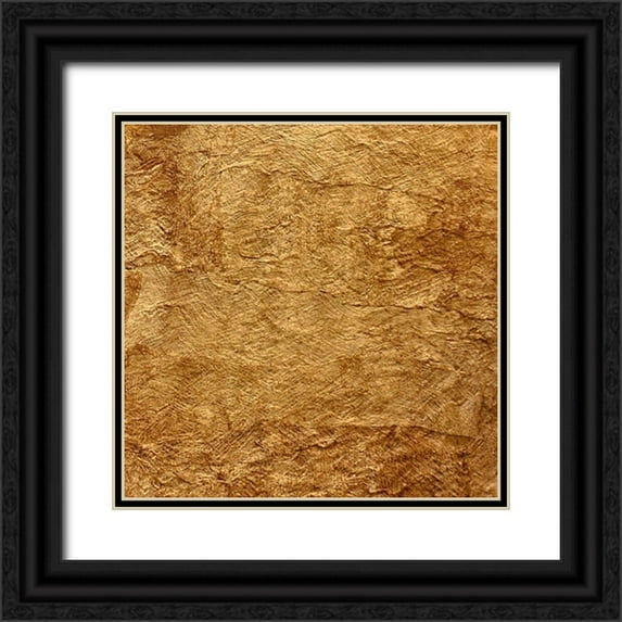 De Carvalho, Sandro 15x15 Black Ornate Wood Framed with Double Matting Museum Art Print Titled - Woven Stone