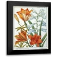thumbnail image 1 of De Chazelles, Laurent 20x24 Black Modern Framed Museum Art Print Titled - Lilium Bulbiferum, 1 of 5