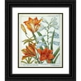 thumbnail image 1 of De Chazelles, Laurent 26x31 Black Ornate Wood Framed with Double Matting Museum Art Print Titled - Lilium Bulbiferum, 1 of 4
