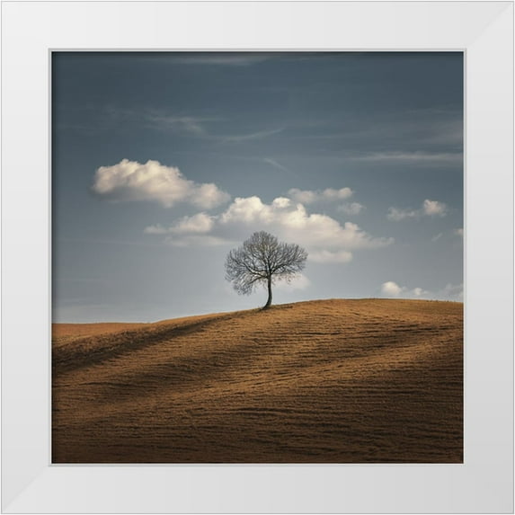 De Franzoni, Thomas 15x15 White Modern Wood Framed Museum Art Print Titled - Better Alone