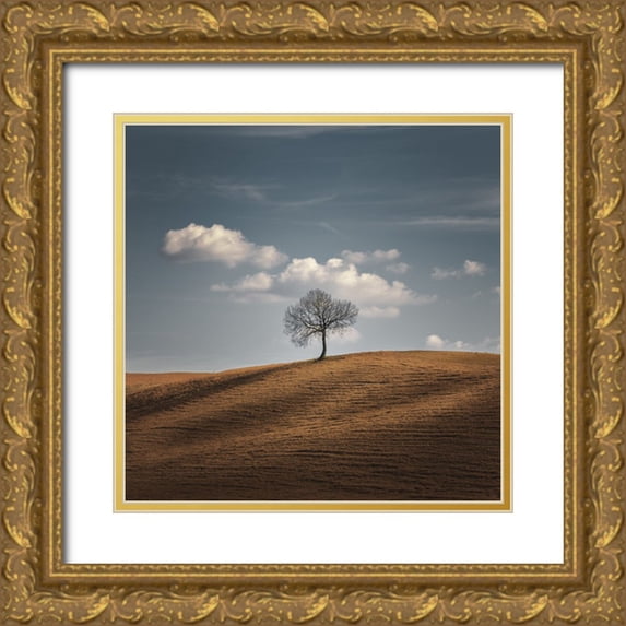 De Franzoni, Thomas 20x20 Gold Ornate Wood Framed with Double Matting Museum Art Print Titled - Better Alone