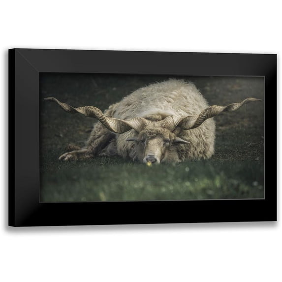 De Franzoni, Thomas 24x15 Black Modern Framed Museum Art Print Titled - Something On My Mind