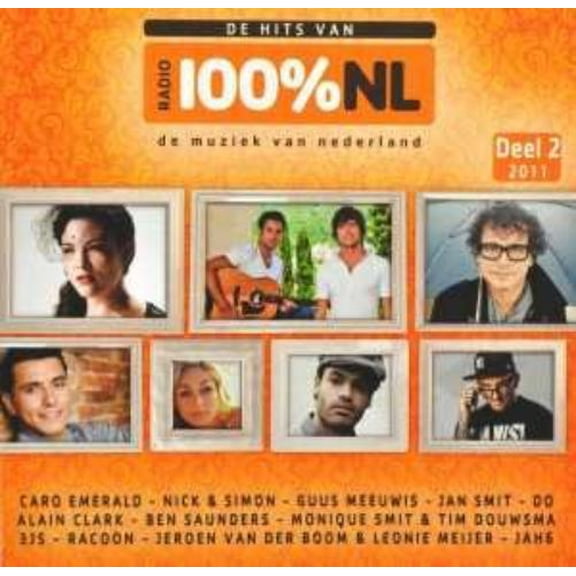 De Hits Van 100% Nl 2011 (Audiobook)