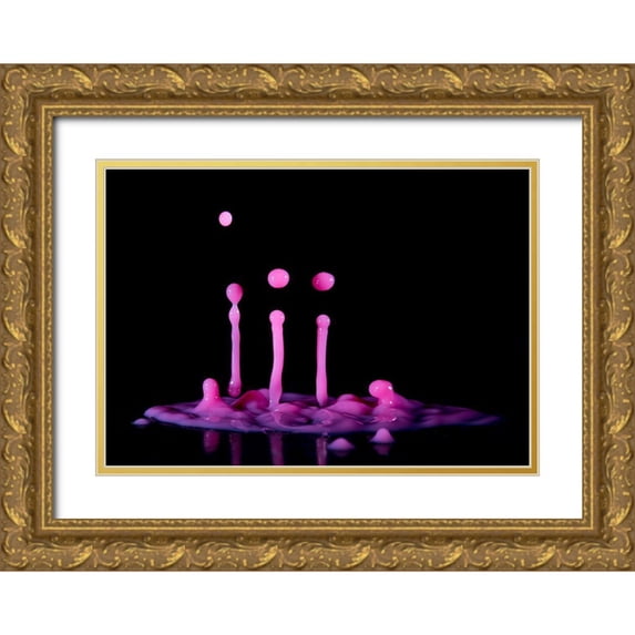 De Kogel, Wieteke 32x24 Gold Ornate Wood Framed with Double Matting Museum Art Print Titled - Albatroz