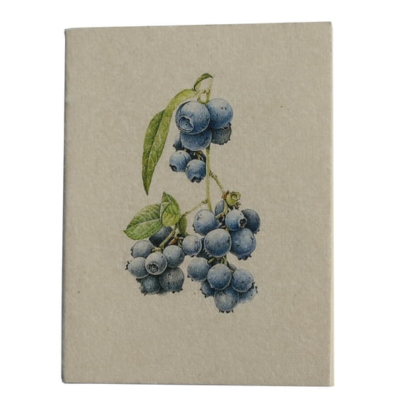 De Kulture Works Vintage Blueberry Botanical Illustration Artwork Pocket Diary 100 Pages, 125 GSM, Set of 2
