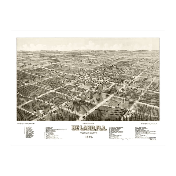 De Land Art, 1884 Vintage Map of De Land Florida, FL History Wall Decor Gift, Old De Land Map - 36" x 24" Unframed Print