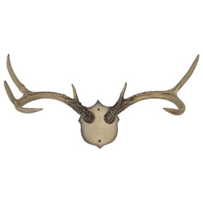 De Leon Collections 14970 Antler Wall Rack 6.5'X8.5'X6.75', 1/8/Case 'Cozy Pines Collections'