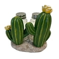 thumbnail image 1 of De Leon Collections 14816 Polyresin Southwestern Desert Green Floral Cactus Country Rustic Salt and Pepper Shaker Holder Set, 1 of 1