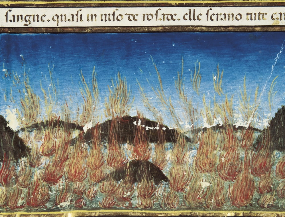 De Predis Cristoforo (1440-1486) Canvas Art - (36 x 24)