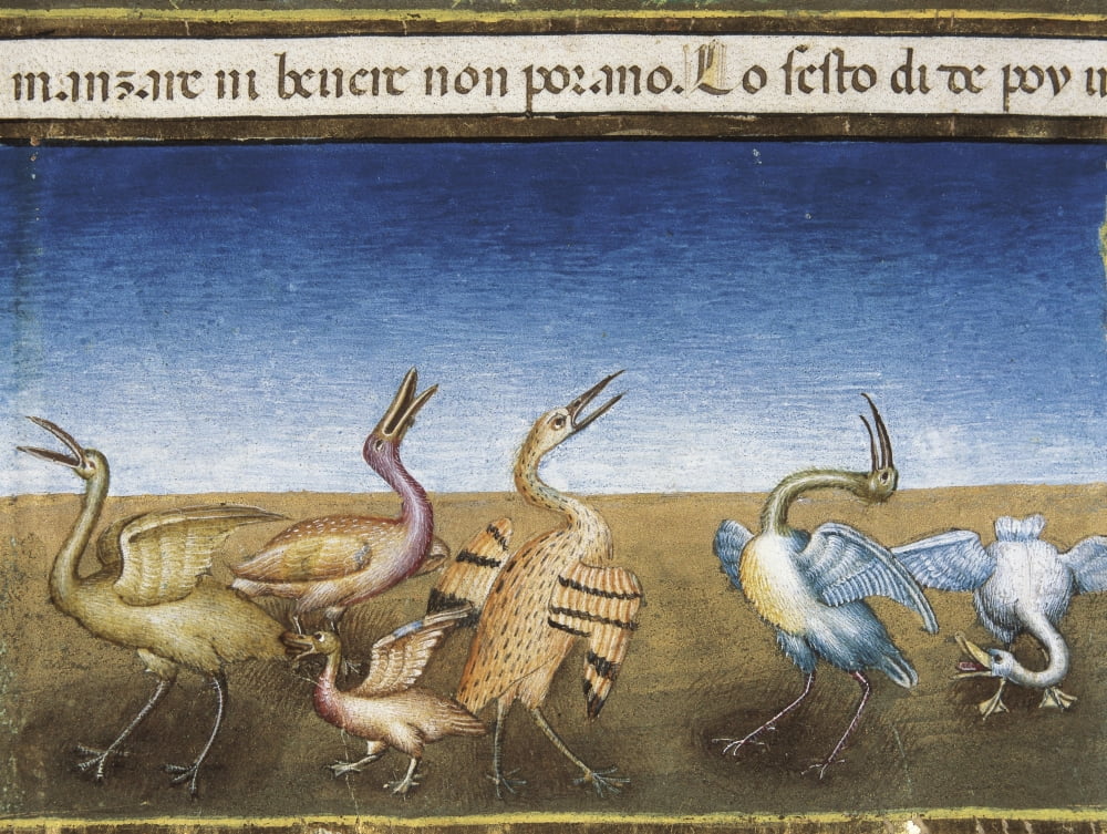 De Predis Cristoforo (1440-1486) Canvas Art -  (36 x 24)