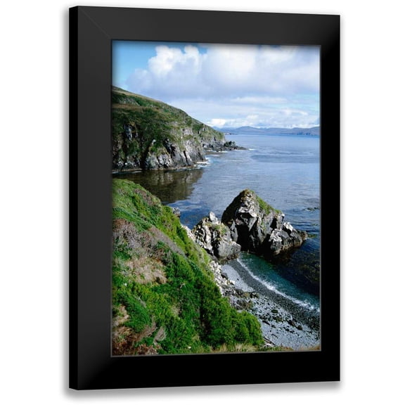 De Roy, Tui 11x14 Black Modern Framed Museum Art Print Titled - Cape Horn National Park, southern tip of South America, Patagonia, Argentina