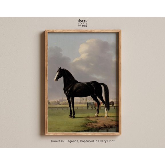 De Vlugge Van Adriaan Vintage Horse Print