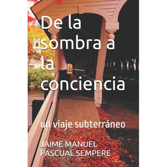 De la sombra a la conciencia: Un viaje subterráneo, (Paperback)