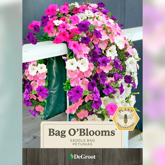 DeGroot Bag O'Blooms Petunia Flower Seed, Easy to Grow