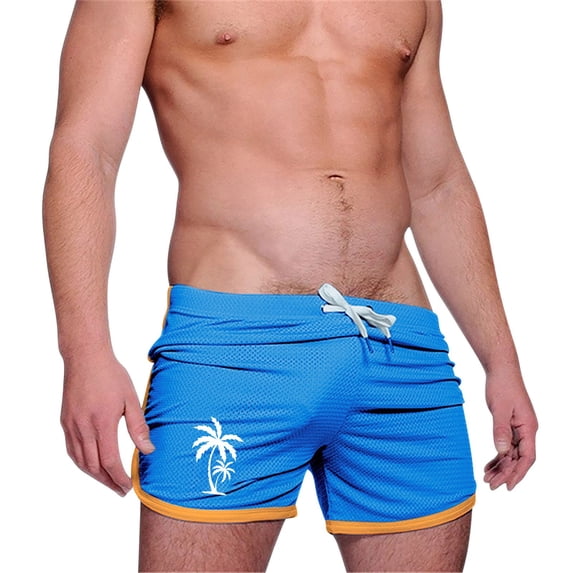 DeHolifer Men's Sports Shorts Breathable Running Fitness Drawstring Training Palm Tree Print Cropped Shorts Light Blue 2XL