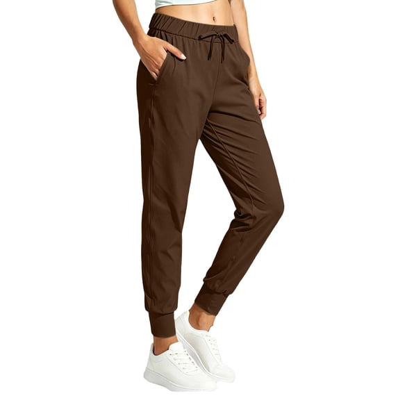 DeHolifer Pants for Women Elastic Waist Stretch Breathable Dress Pant Outdoor Athletic Joggers with Pockets Coffee S