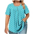 thumbnail image 1 of DeHolifer Plus Size T-Shirt for Women Ruffle Pleated Front Button Shirt Business Casual Printed Tunic Tops Sky Blue L, 1 of 6