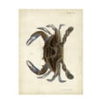 thumbnail image 1 of DeKay 'Vintage Crab II' Canvas Art, 1 of 2