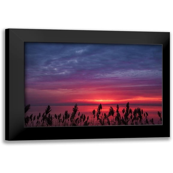 DeLuca, Pat 14x11 Black Modern Framed Museum Art Print Titled - Change Of Purpose