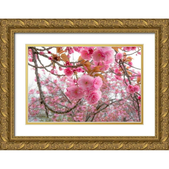 DeLuca, Pat 14x11 Gold Ornate Wood Framed with Double Matting Museum Art Print Titled - Spiritual Switch 2