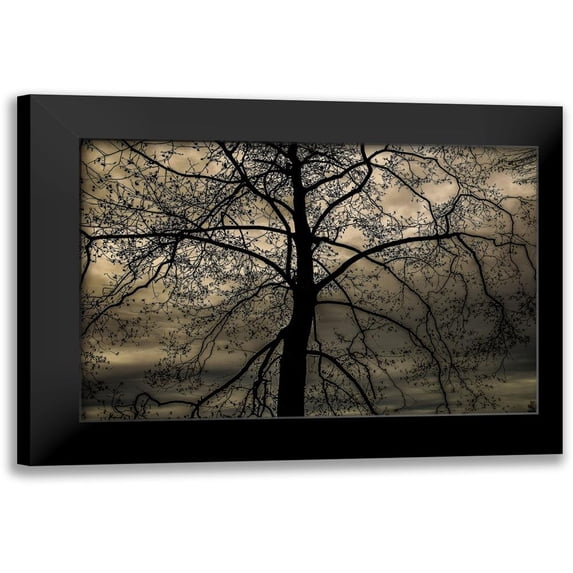 DeLuca, Pat 18x13 Black Modern Framed Museum Art Print Titled - Conversation Of Earth