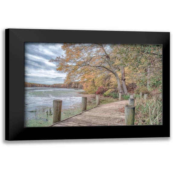 DeLuca, Pat 24x17 Black Modern Framed Museum Art Print Titled - Blydenburg Park