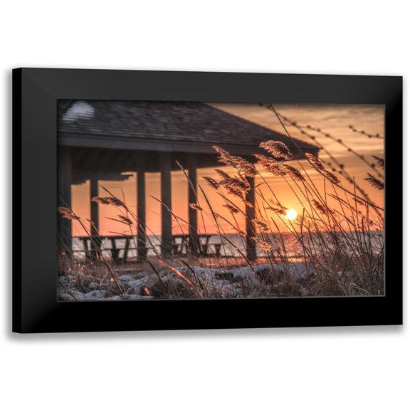 DeLuca, Pat 24x17 Black Modern Framed Museum Art Print Titled - Imminent Loyalty