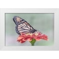thumbnail image 1 of DeLuca, Pat 24x17 White Modern Wood Framed Museum Art Print Titled - Pristine Desire 1, 1 of 4