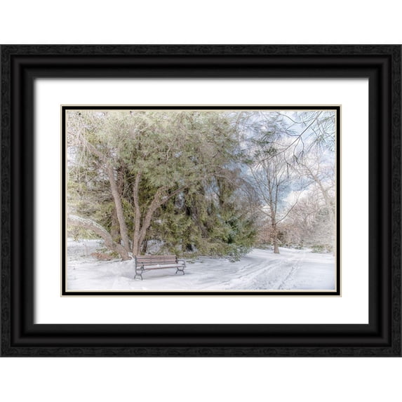 DeLuca, Pat 32x23 Black Ornate Wood Framed with Double Matting Museum Art Print Titled - Arboretum 2