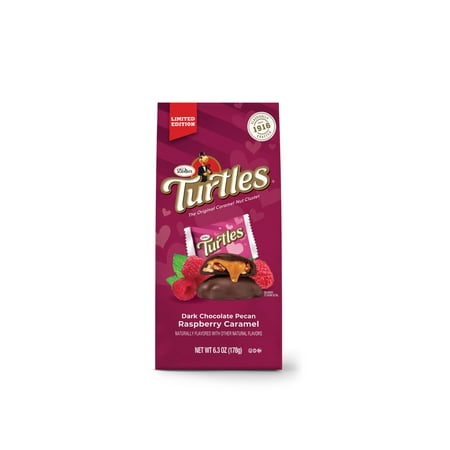 DeMet's Turtles, Dark Chocolate Raspberry Pecan Valentine's Bag, 6.3 oz