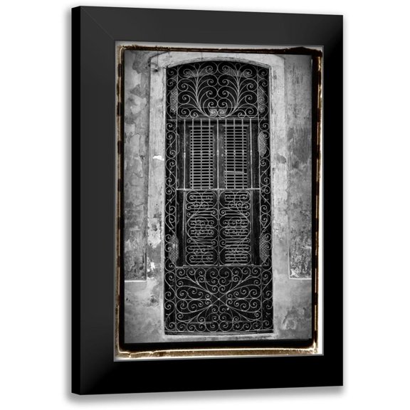 DeNardo, Laura 11x14 Black Modern Framed Museum Art Print Titled - Past Elegance I
