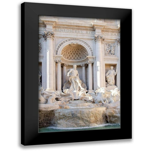 DeNardo, Laura 11x14 Black Modern Framed Museum Art Print Titled - Trevi Fountain in Afternoon Light I
