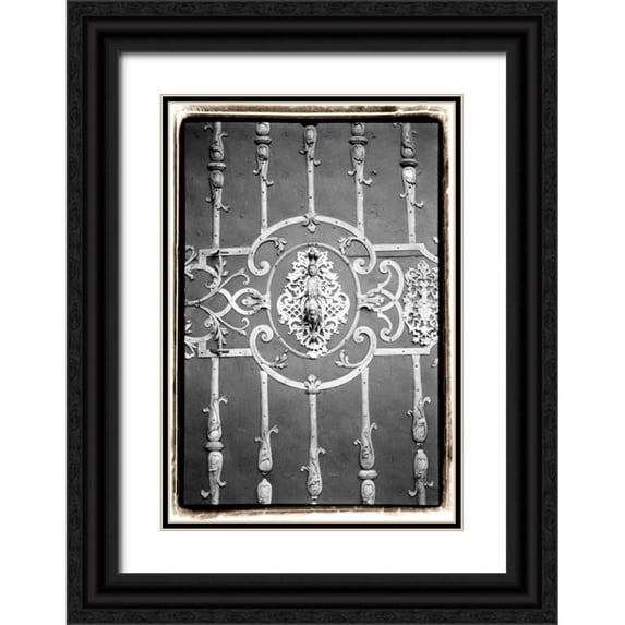 DeNardo, Laura 11x14 Black Ornate Wood Framed with Double Matting Museum Art Print Titled - Distinguished Doors II
