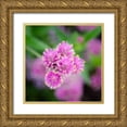 thumbnail image 1 of DeNardo, Laura 12x12 Gold Ornate Wood Framed with Double Matting Museum Art Print Titled - Cropped Garden Flowers IV, 1 of 4