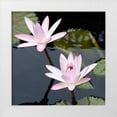 thumbnail image 1 of DeNardo, Laura 12x12 White Modern Wood Framed Museum Art Print Titled - Water Lily Flowers III, 1 of 4