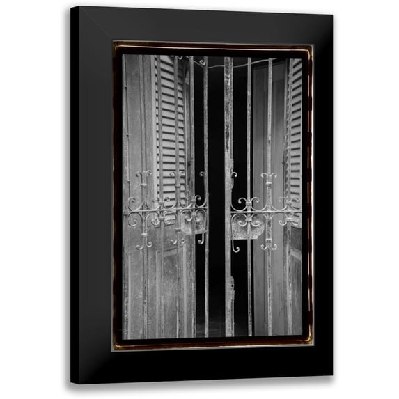 DeNardo, Laura 13x18 Black Modern Framed Museum Art Print Titled - Past Elegance III