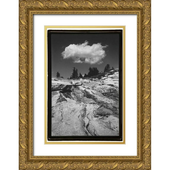 DeNardo, Laura 13x18 Gold Ornate Wood Framed with Double Matting Museum Art Print Titled - Cloud Dream