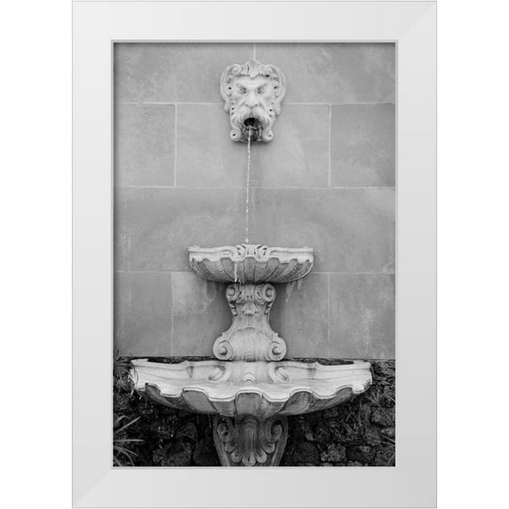 DeNardo, Laura 13x18 White Modern Wood Framed Museum Art Print Titled - Black and White Fountains I
