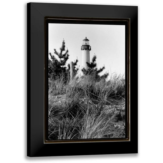 DeNardo, Laura 14x18 Black Modern Framed Museum Art Print Titled - Cape May Afternoon I