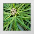 thumbnail image 1 of DeNardo, Laura 15x15 White Modern Wood Framed Museum Art Print Titled - Cropped Garden Leaves V, 1 of 4