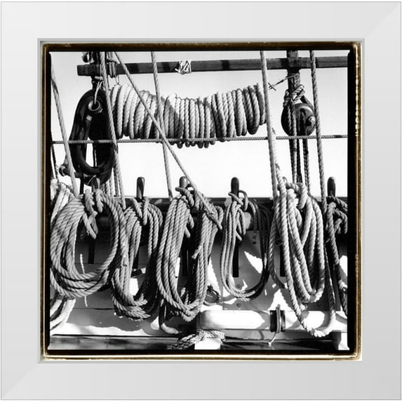 DeNardo, Laura 15x15 White Modern Wood Framed Museum Art Print Titled - Secure II