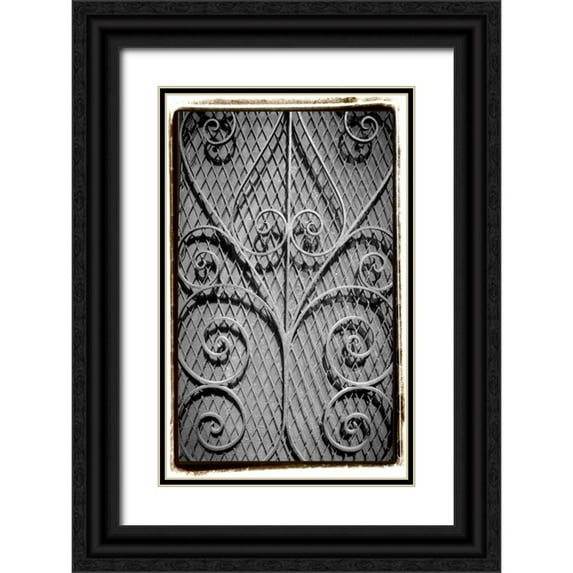 DeNardo, Laura 22x32 Black Ornate Wood Framed with Double Matting Museum Art Print Titled - French Quarter Ironwork I