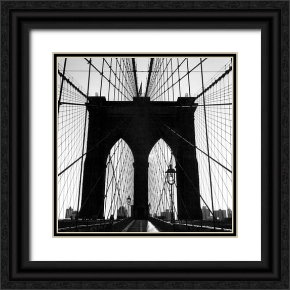 DeNardo, Laura 26x26 Black Ornate Wood Framed with Double Matting Museum Art Print Titled - Brooklyn Suspension IV