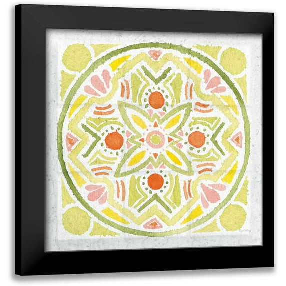 DeNeige, Elyse 20x20 Black Modern Framed Museum Art Print Titled - Citrus Tile III v2