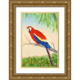 thumbnail image 1 of DeRice, Julie 13x18 Gold Ornate Wood Framed with Double Matting Museum Art Print Titled - Tropic Bird in Paradise I, 1 of 4