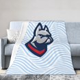 thumbnail image 1 of DeSales University Logo Fleece Blanket, Very Soft Microfiber Flannel Blanket for Couch Warm and Cozy for All Seasons, 1 of 1